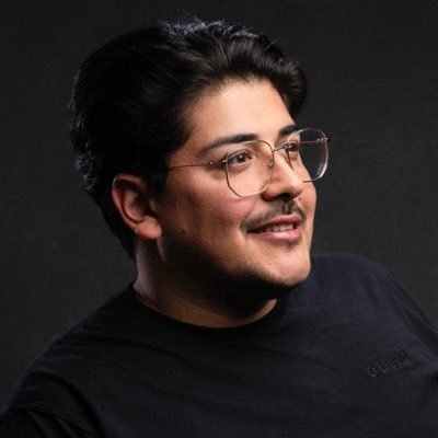 Ramin Hasani Profile