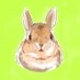 Kこうちゃん🐰 (@kkkkk_chann) Twitter profile photo Kこうちゃん🐰 (@kkkkk_chann) Twitter profile photo