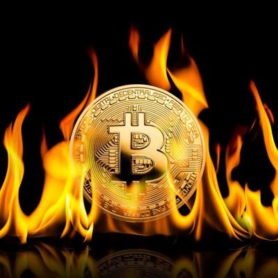 Criptosonfire's profile picture. 