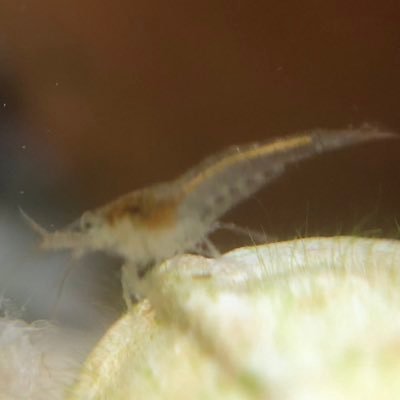 U_kun00's profile picture. 