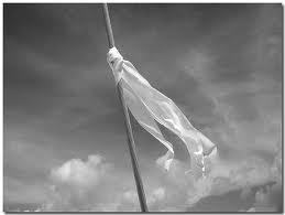 _bambung's profile picture. Pengintip pembantu