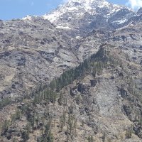Vishal Thakur (@vishal2414) 's Twitter Profile
