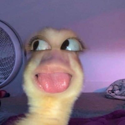 Victoria1417726's profile picture. 