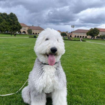 Hisako139's profile picture. Live life for yourself and the people you love