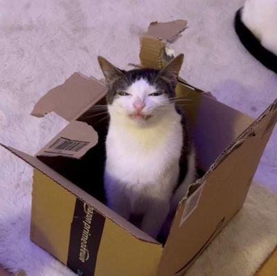 Itss_SSRIAN's profile picture. 