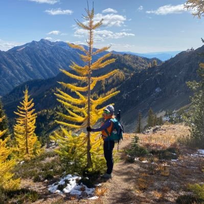 Assistant Professor at Seattle Children’s Research Institute studying #DOHAD #Placentas #Pregnancy #EnvironmentalExposures