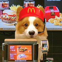 Ρ
ΚΙͺ '^' (@mayi_in6oo) 's Twitter Profile Photo Ρ
ΚΙͺ '^' (@mayi_in6oo) 's Twitter Profile Photo