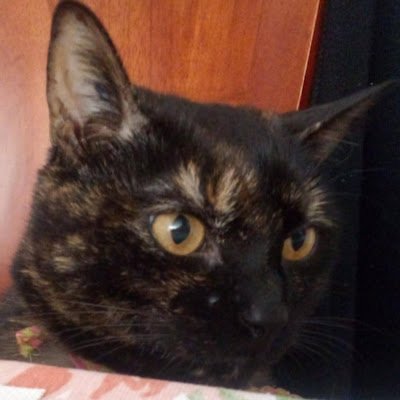 ErikaMaria79675's profile picture. 