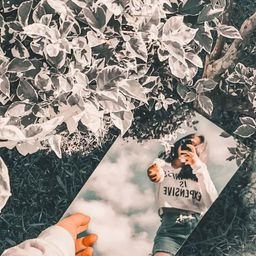 Raraffe115760's profile picture. 