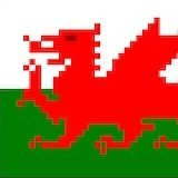 WalesInGames Profile Picture