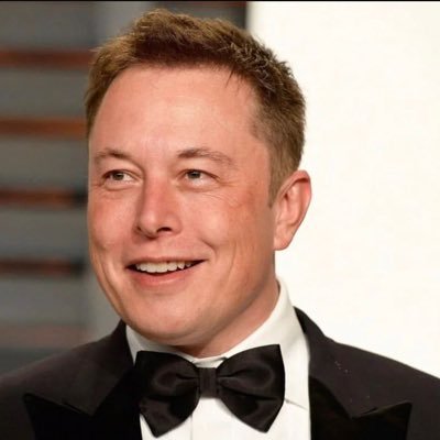 The real Elon CEO of spaceX, Tesla, Neuralink, and The Boring Company