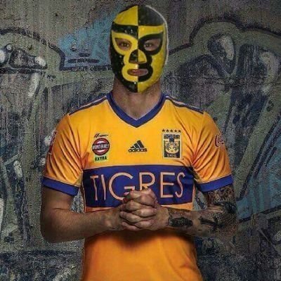 Aficionado de Tigres de la #UANL #TigresDeMéxico, El más campeón de Nuevo León.

⭐⭐⭐⭐🐯⭐🌟⭐⭐

https://t.co/mFgnVHGfpG /
https://t.co/68p68JaElT