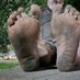 Pigdad homeless Carioca (@pigdadcarioca) Twitter profile photo Pigdad homeless Carioca (@pigdadcarioca) Twitter profile photo