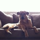 Ryan Hallquist - @ryanhq - Twitter