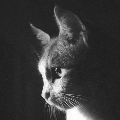 Simon19891213's profile picture. 