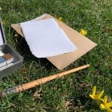 mrgoatreacts's profile picture. 