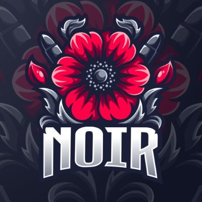 The best eSports team, join the #NoirArmy now! // Competing at @valesports_emea // Founded 01/04/2024
