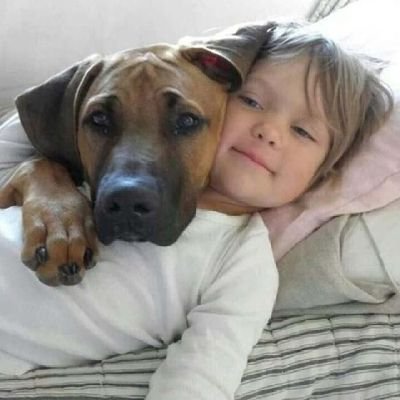 Cneyt5907525964's profile picture. hayvanların sesi