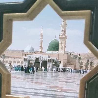 {وَأُفَوِّضُ أَمْرِي إِلَى اللَّهِ ۚ إِنَّ اللَّهَ بَصِيرٌ بِالْعِبَادِ }
