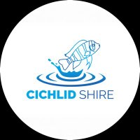 Cichlid Shire(@CichlidShire) 's Twitter Profile Photo