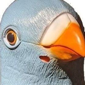 hato_hatoooo's profile picture. FEELCYCLE 2020.09.06 - @ AKS/RPG（消失） 大概ふざけてます😊ｽｸﾘ 3Hous3 金NOW 2Comp1 2Comp3 WComp1が好物✌️