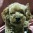 m_sarah222's profile image