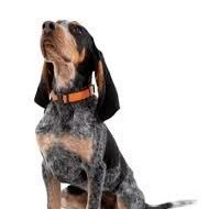 SportsTalkSp's profile picture. 