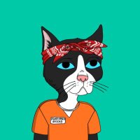 Gutter Gangster (@guttergangster) 's Twitter Profile Photo Gutter Gangster (@guttergangster) 's Twitter Profile Photo