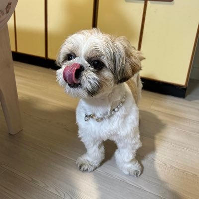 hoshiimotaro's profile picture. ラジオ垢 #永野芽郁ANNX  #アルピーdcg #あのANN0 #Denサクラバシ919 #佐久間宣行ANN0 #マヂラブANN0 #三四郎ANN0 #annkw #裏表ラジオ #mc1010 #ねもシャカ #菅田将暉ANN #ウイカANN0 #AdoANN