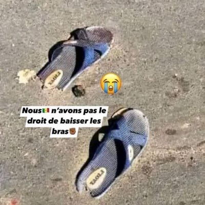 rokhayae's profile picture. 