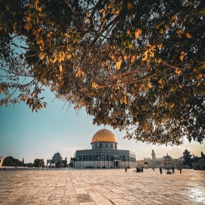 Daoudinee's profile picture. 