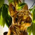 Golden Bullyz (@dratz99) Twitter profile photo Golden Bullyz (@dratz99) Twitter profile photo