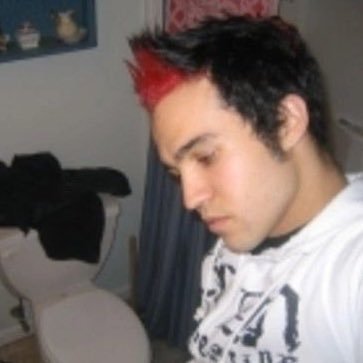 online personal diary, pete wentz live journal reincarnated