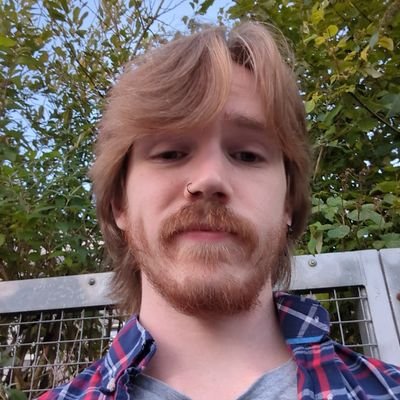 BVar727's profile picture. Honestly, just a pretty annoying British gay guy

He/They