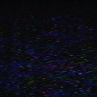 Apocrypha Recordings (@apocrypharecs) 's Twitter Profile Photo Apocrypha Recordings (@apocrypharecs) 's Twitter Profile Photo