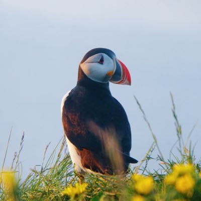 kv_dataengineer's profile picture. 