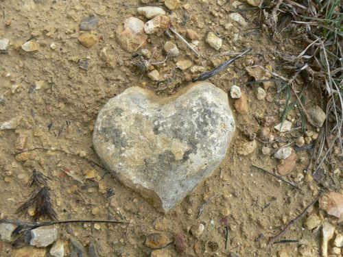 alexiacidus's profile picture. 