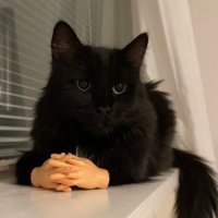 ٰ (@nothinbuthonst) 's Twitter Profile Photo