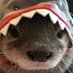 gato (@gato3ds) Twitter profile photo gato (@gato3ds) Twitter profile photo