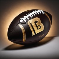 Montana Class B Football (@mtclassbfb) 's Twitter Profile Photo Montana Class B Football (@mtclassbfb) 's Twitter Profile Photo