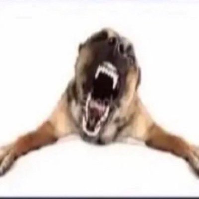 ammadmmasm's profile picture. 