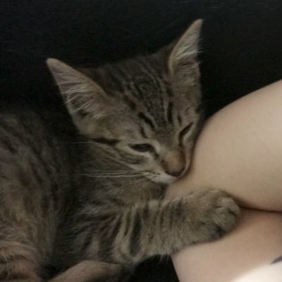 agustinagct's profile picture. 