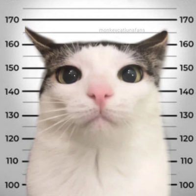 MythrasCrush's profile picture. 