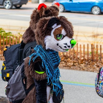 Finn! | 18 | Green ferret from Ontario | I made my suit | pfp by @PjayFox | banner by @AndromedusWolf
mostly here to follow ppl who arent on insta :)