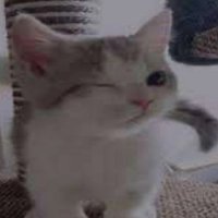 prince777 (@yoprince777) 's Twitter Profile Photo