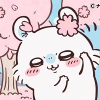 설 (@rushtobin) 's Twitter Profile