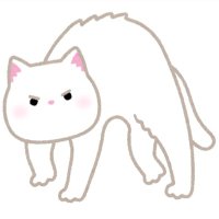 🕊️ (@pa___ta8) 's Twitter Profile
