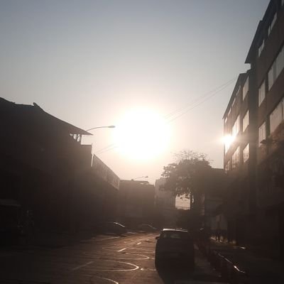 alexcol20275162's profile picture. 