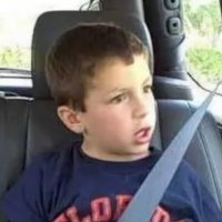 Taipanisme (@taipanisme) 's Twitter Profile