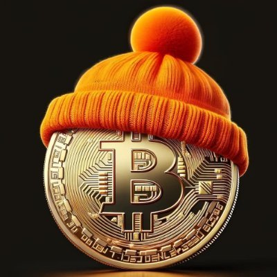 Any Bitcoin | Any Hat | Just Fun            BITCOIN•WITH•HAT